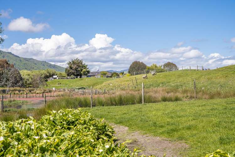 111 Peka Peka Road Peka Peka_7