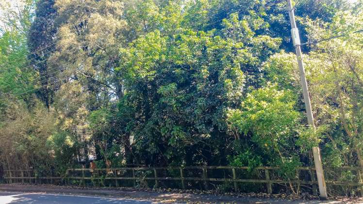 126 Victory Road Laingholm_6