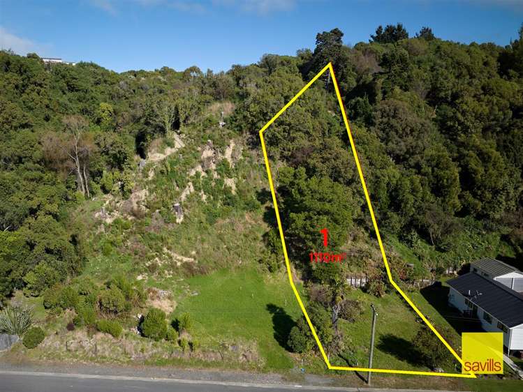 74 Torquay Street Kaikoura_0