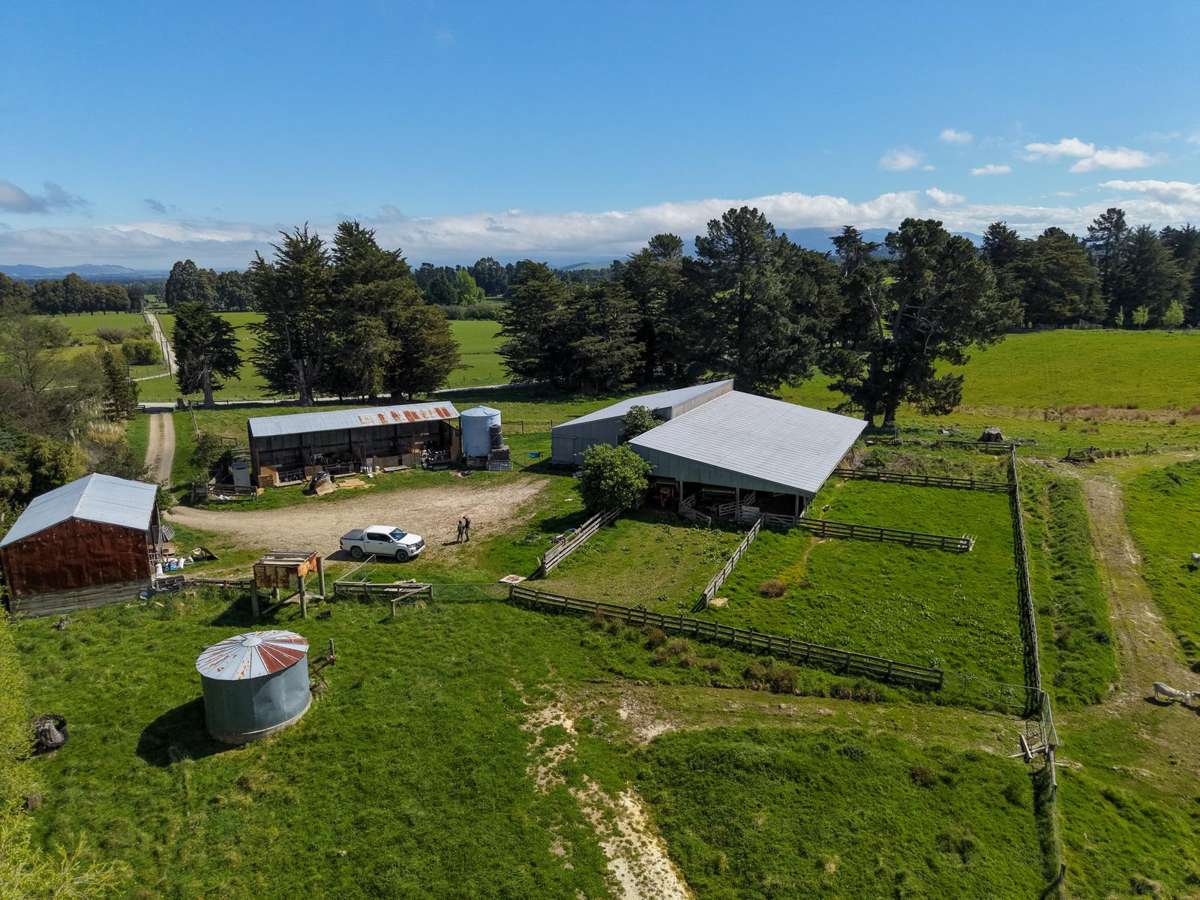 351 Loburn Kowai Road_5