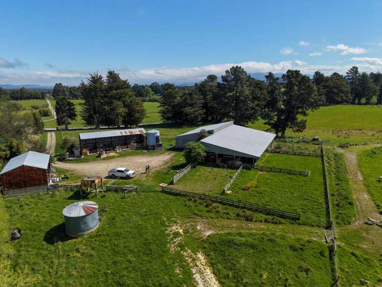 351 Loburn Kowai Road Loburn_8