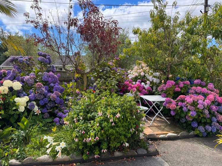 27 Amundsen Grove Stokes Valley_24