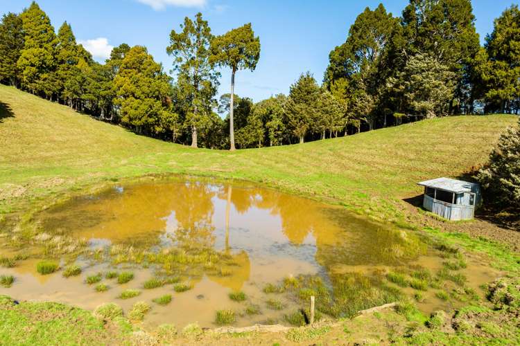 255 O'Carroll Road Maungakaramea_14