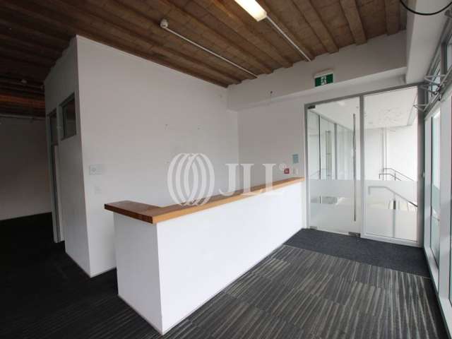 17 Maidstone Street Grey Lynn_3