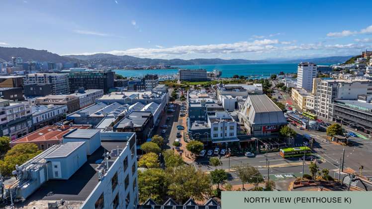 1A/10 Alpha Street Te Aro_4