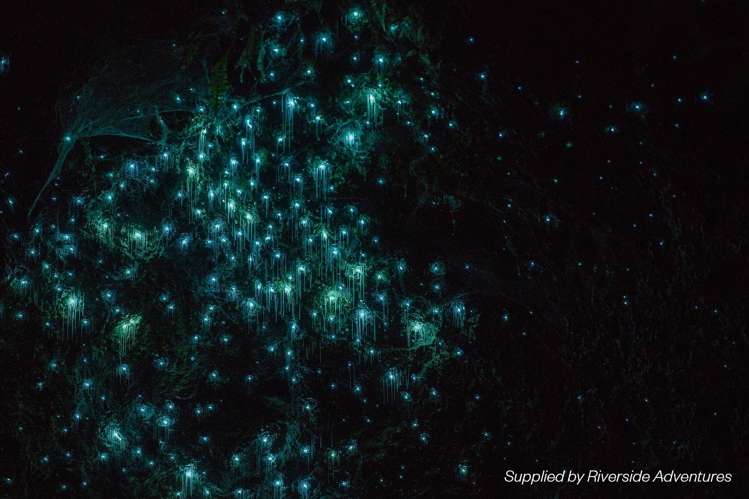 341 Horahora Road Piarere_33