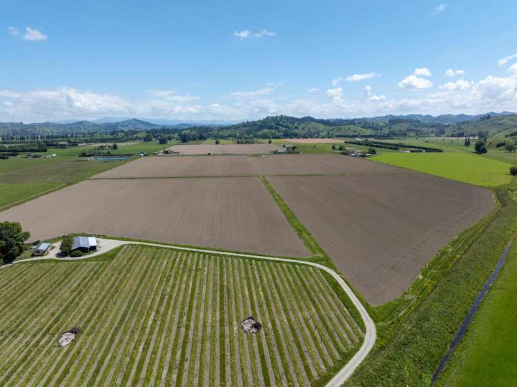 Whitmore Road Ormond_7