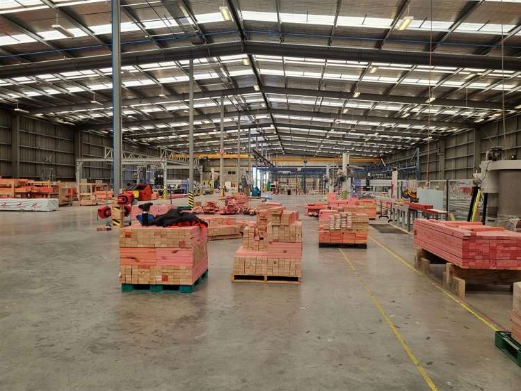 37 Link Drive Rolleston_2