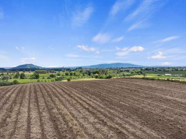 54 Puahue Road Te Awamutu_3