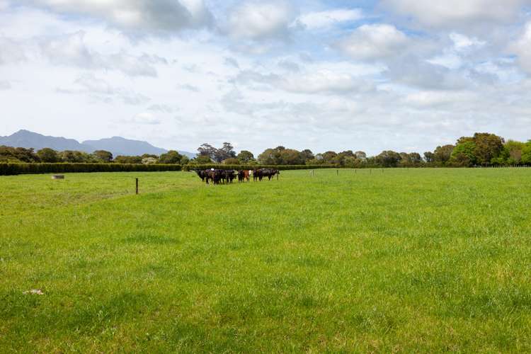 231a Stanley Road Te Aroha_10