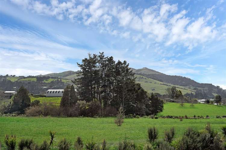 19 Waikaha Street Pokeno_18