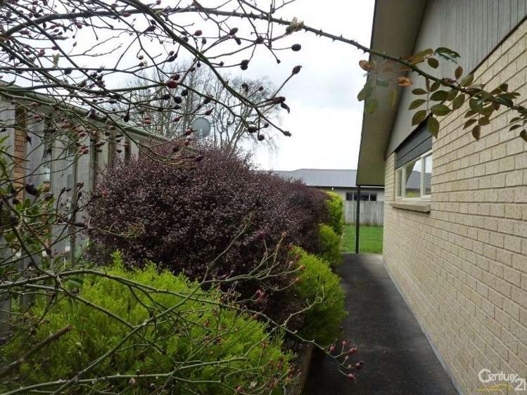 7 Wilson Place Marton_18