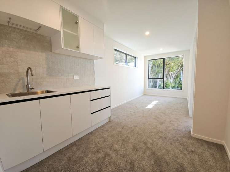 4/55 Spencer Road Oteha_19