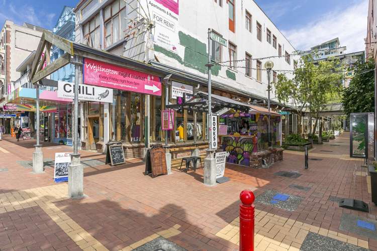 241/21 Left Bank Te Aro_15