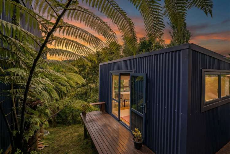 243 Saint Vincent Street Toi Toi_3