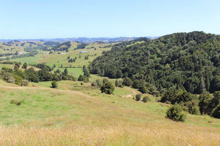 328 Oetzman Road Towai_8