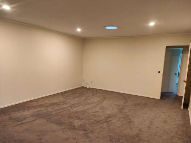 486A Hillsborough Road Mount Roskill_1