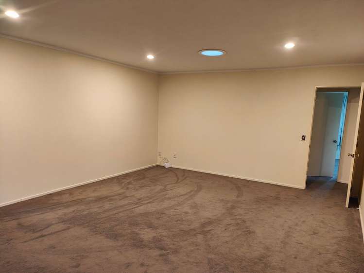 486A Hillsborough Road Mount Roskill_1