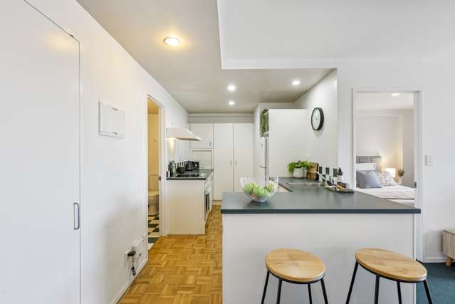 1m/250 Richmond Road Grey Lynn_3