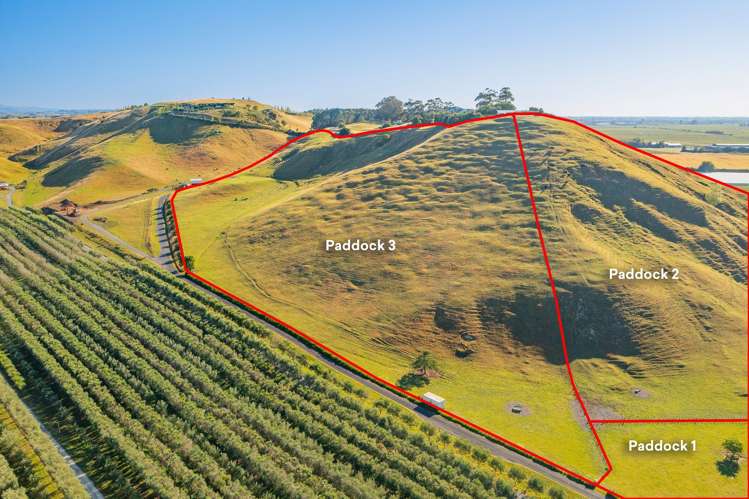 2538 State Highway 50 Roys Hill_32