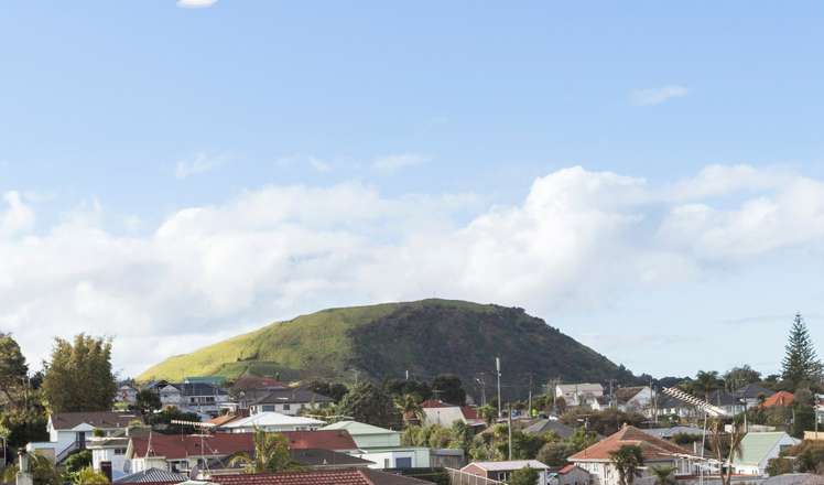 1 Higgs Road Mount Wellington_11