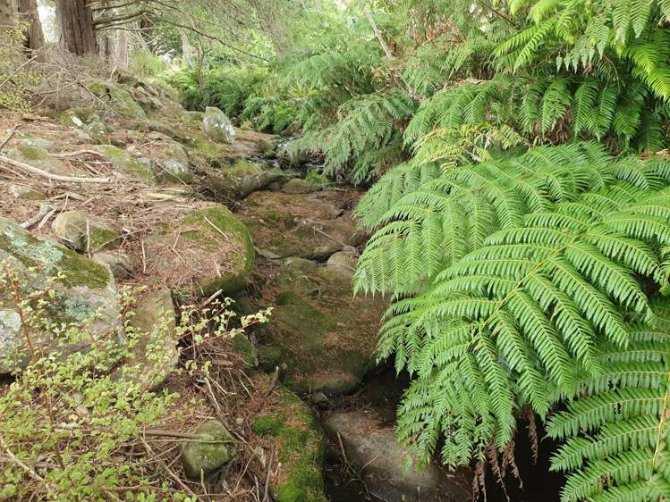 17b Okura Drive Kerikeri_5