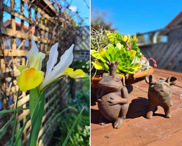 51 Splitt Avenue Glenview_9