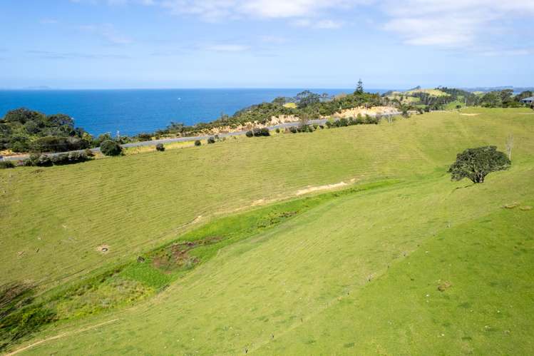 Lot 1 Rockell Road Whananaki_14