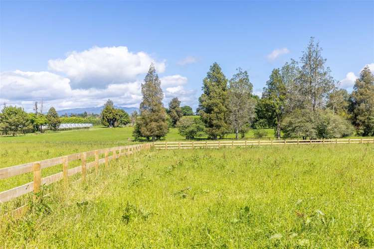33 Muir Road Te Awamutu_6