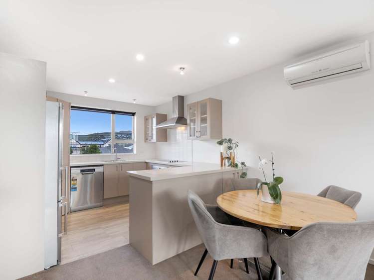 25c Montrose Street Sydenham_9