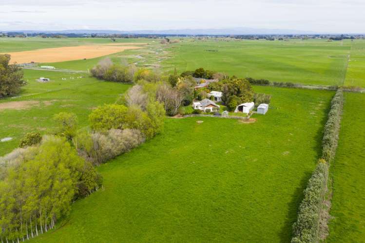 260 Haynes Line Feilding_26