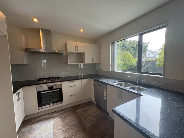 488 Richardson Road Mt Roskill_4