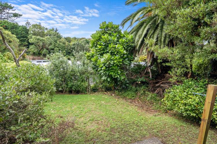 25 Mccoll Street Vogeltown_9