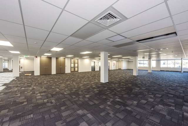 100 Carlton Gore Road Newmarket_1