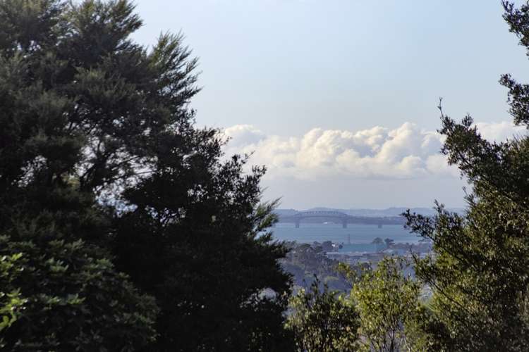 13 Awhiorangi Promenade Swanson_8