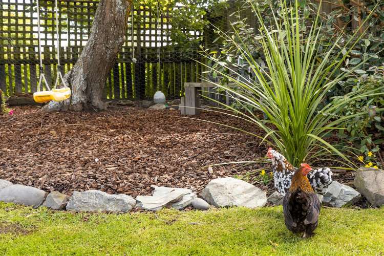 38 Colemans Road Springlands_43