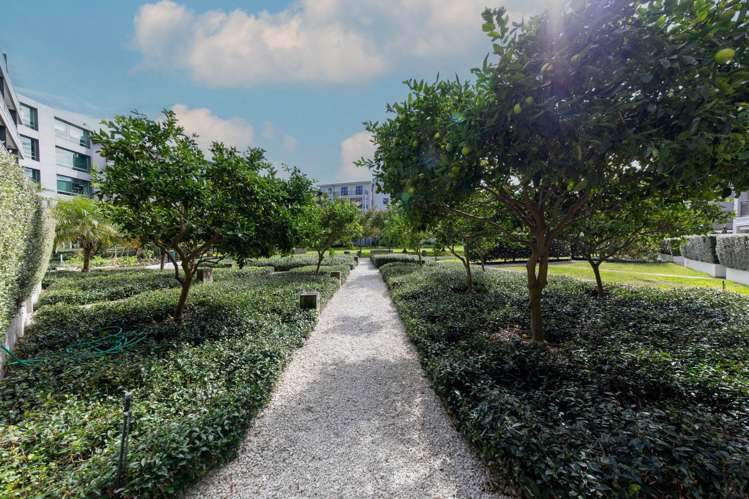 3G/16 Market Place City Centre_14