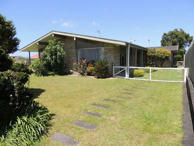 17 David Street Morrinsville_0