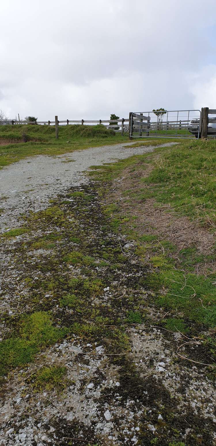 105 Jumna Road Maungaturoto_5