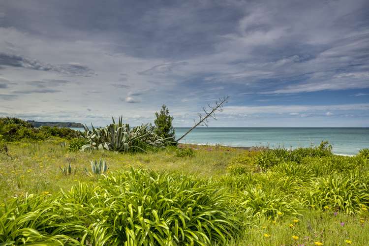 260 Whirinaki Road Eskdale_7