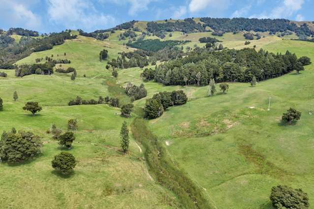 Pipiwai Road Purua_1