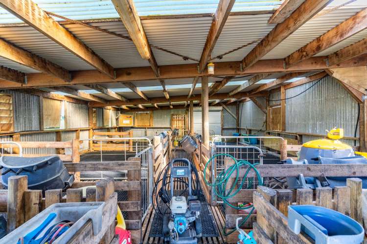 454 West Coast Road Te Kopuru_14