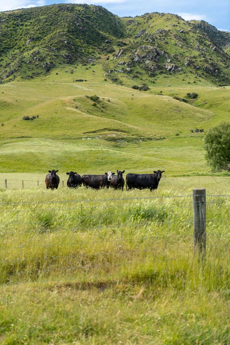 23 Klifden Road Oturehua_22