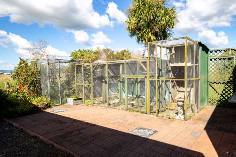 46 Arawa Street Pipiroa_23