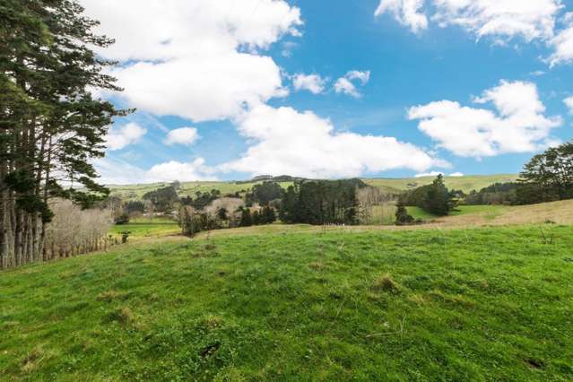 1128 Peak Road Helensville_3