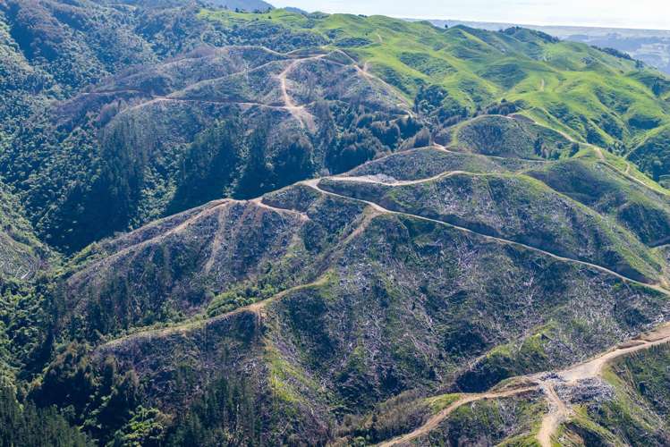 170 Mangaone North Road Te Horo_17