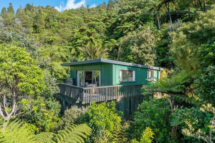 Lot 1 Blackwood Bay Queen Charlotte Sound_10