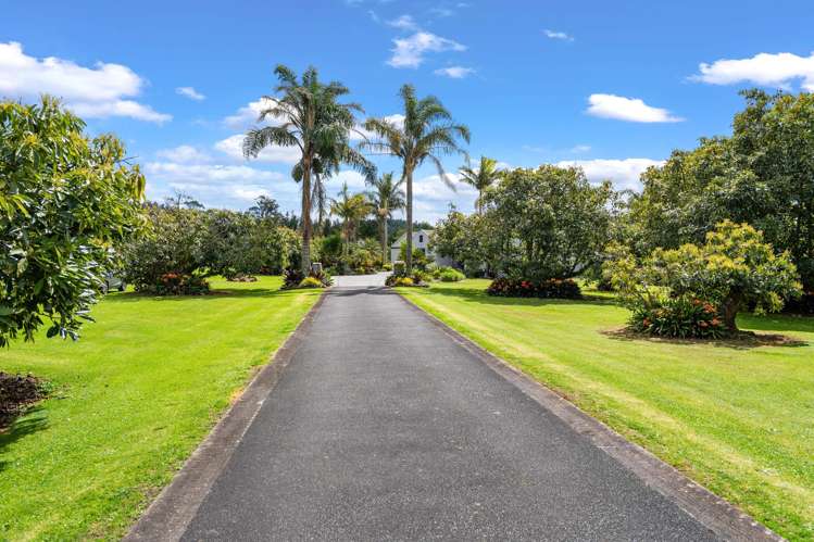 641 Ngunguru Road Glenbervie_7