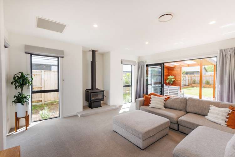 3 Monarch Drive Ashhurst_16