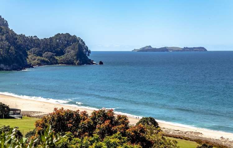 325 Onemana Drive Onemana_18